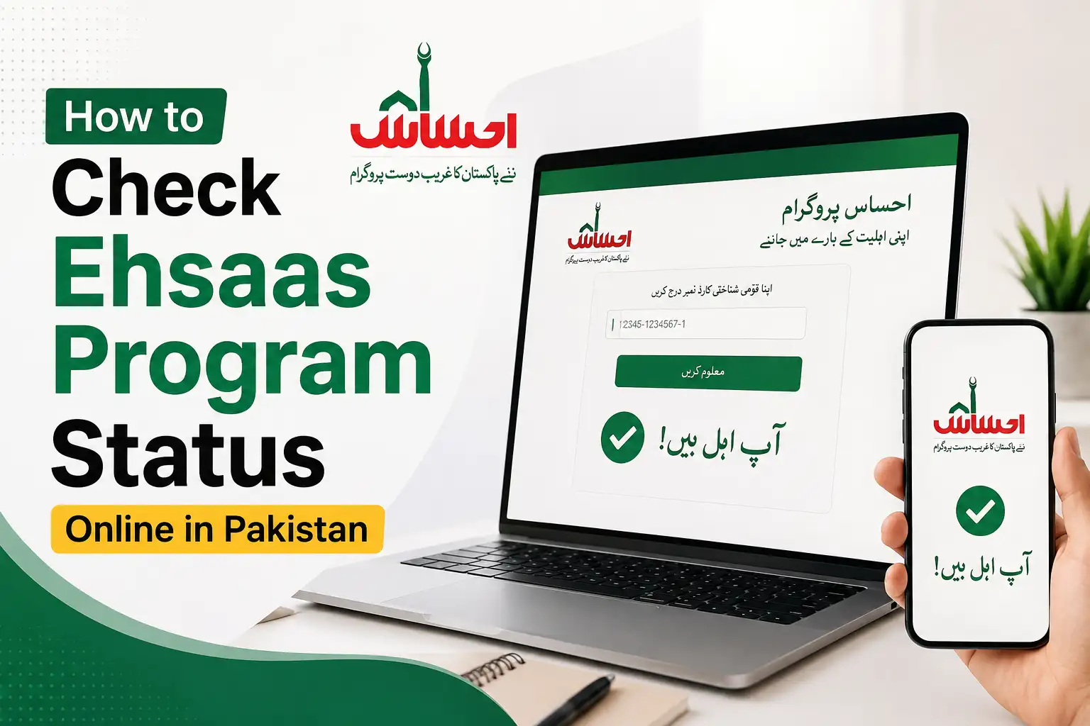 How to Check Ehsaas Program Status Online in 