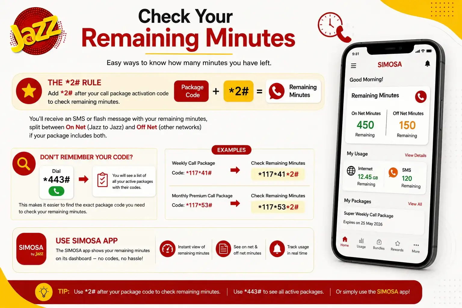 Check Your Remaining Minutes