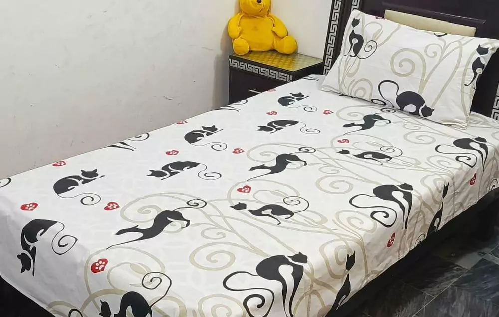 2 Pcs Cotton Printed Single Bedsheet