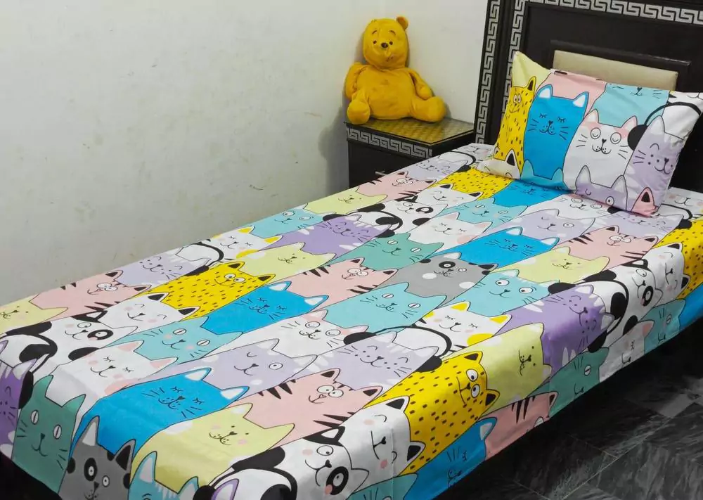 2 Pcs Cotton Printed Single Bedsheet