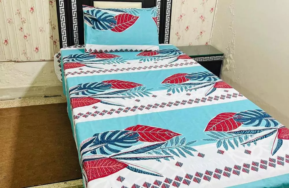 2 Pcs Cotton Printed Single Bedsheet