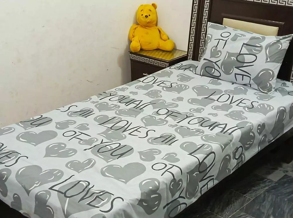 2 Pcs Cotton Printed Single Bedsheet