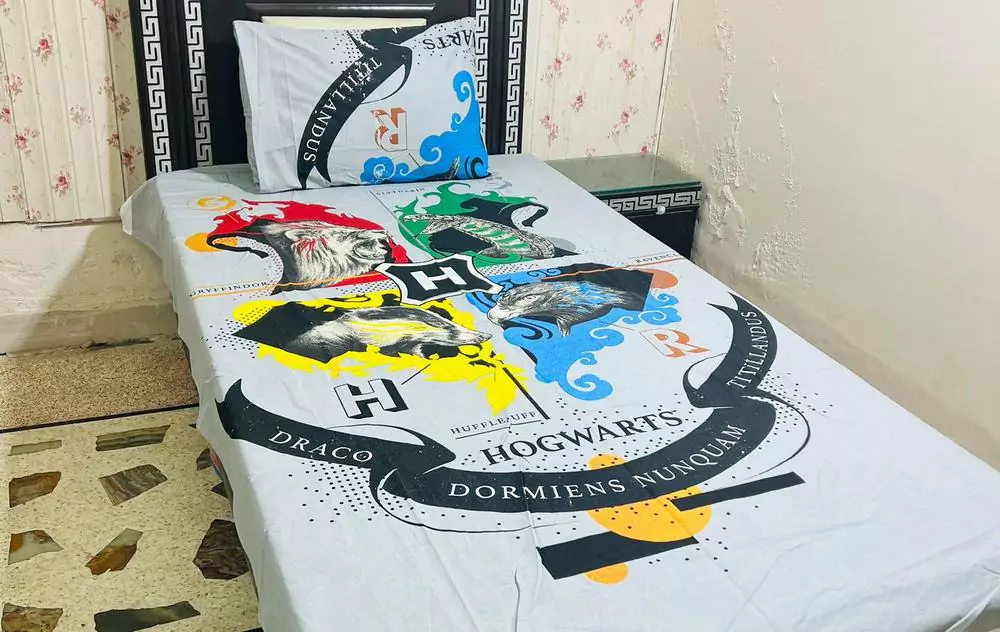 2 Pcs Cotton Printed Single Bedsheet