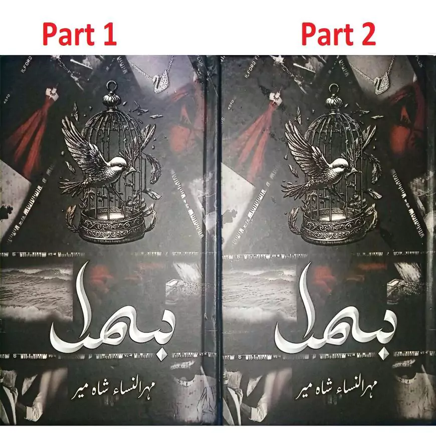 Bismil Part 1 And 2 By Mehrunisa