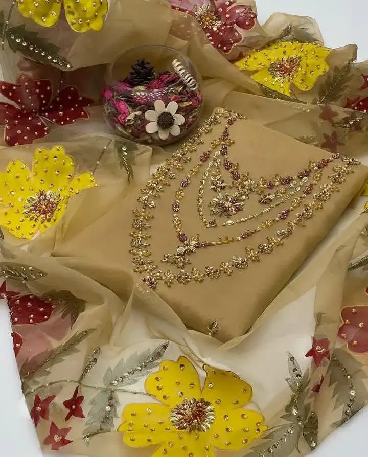 Organza Hand Embroidered Women