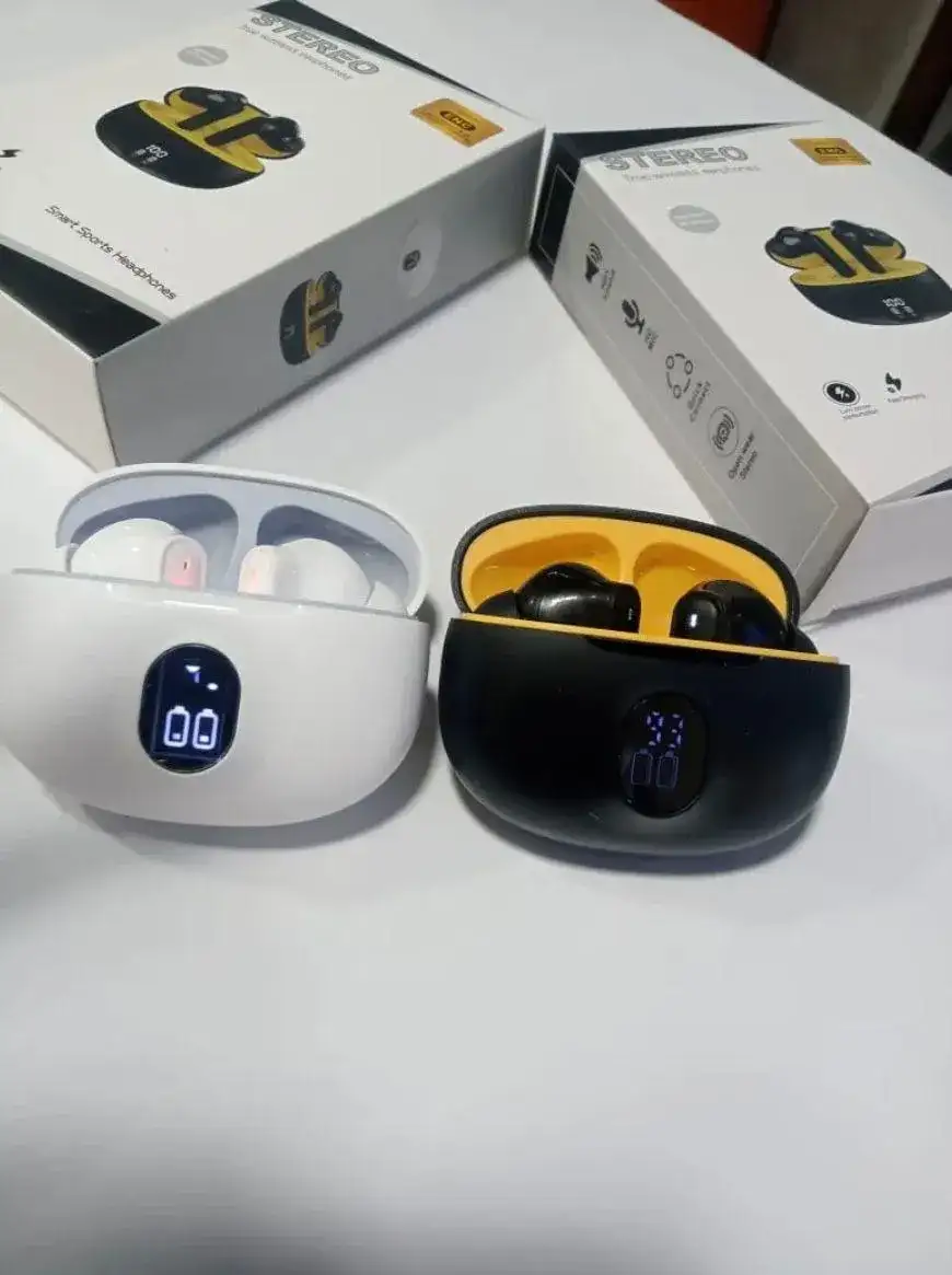 Wireless Stereo Earbuds