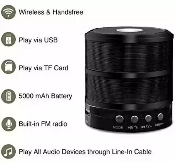 WS 887 Wireless Bluetooth Speaker